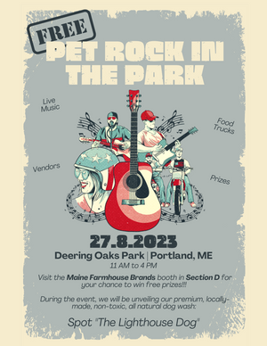 Pet Rock in the Park!