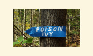 Poison Ivy Basics