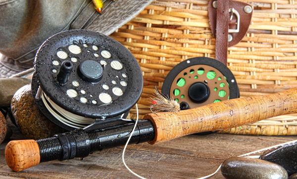 The Native Mainers Collection